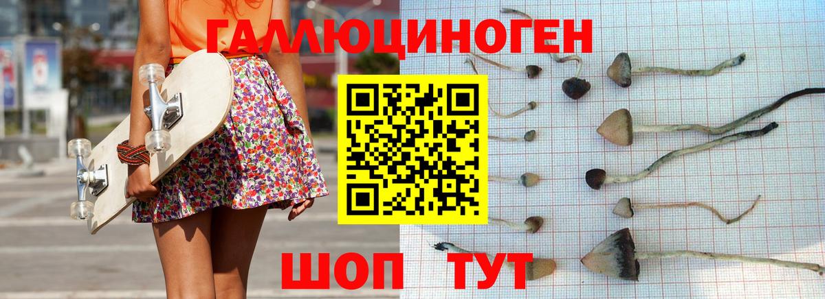 Псилоцибиновые грибы мицелий Шебекино