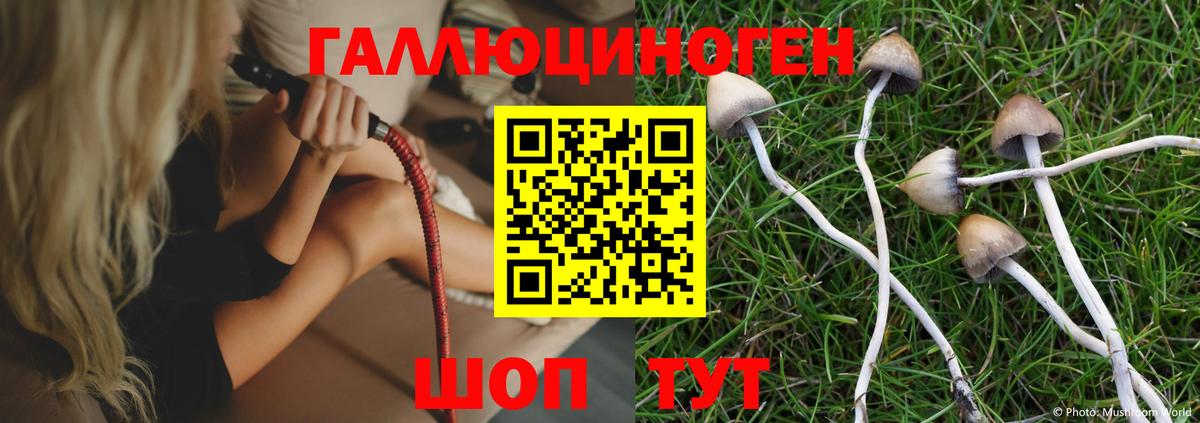Шебекино  Галлюциногенные грибы MAGIC MUSHROOMS  Вход с VPN  Псилоцибиновые грибы GOLDEN TEACHER 